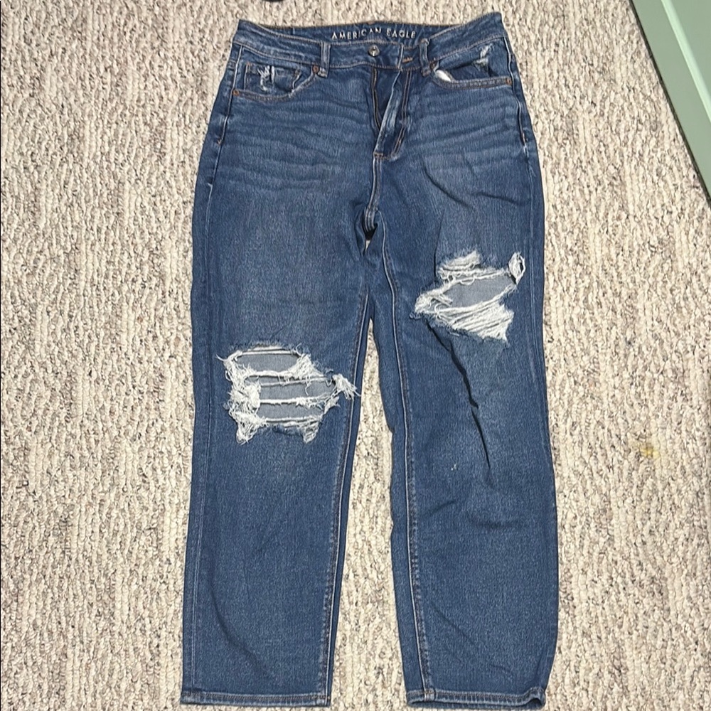 American Eagle Outfitters Classic Blue Denim Jeans